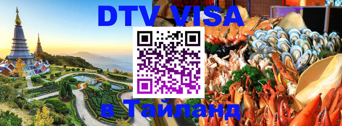 Оформление DTV визы под ключ: стоимость и тарифы, только загранпаспорт - 